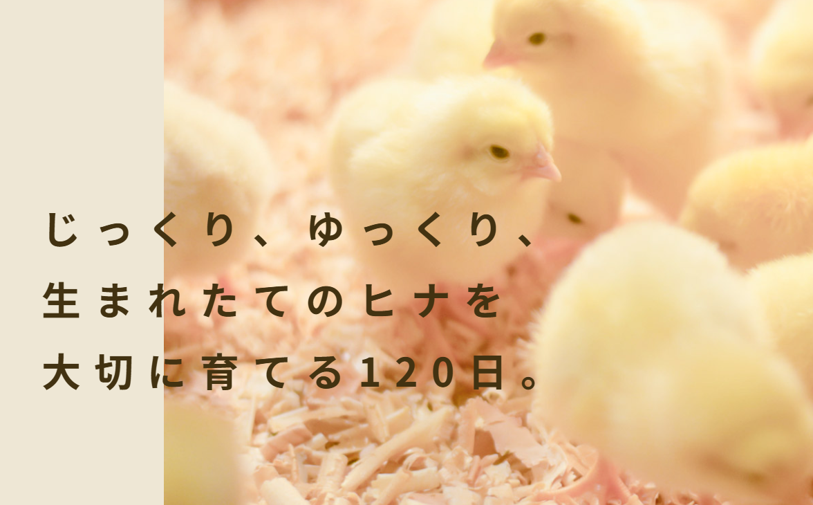 中山養鶏場様 支援事例